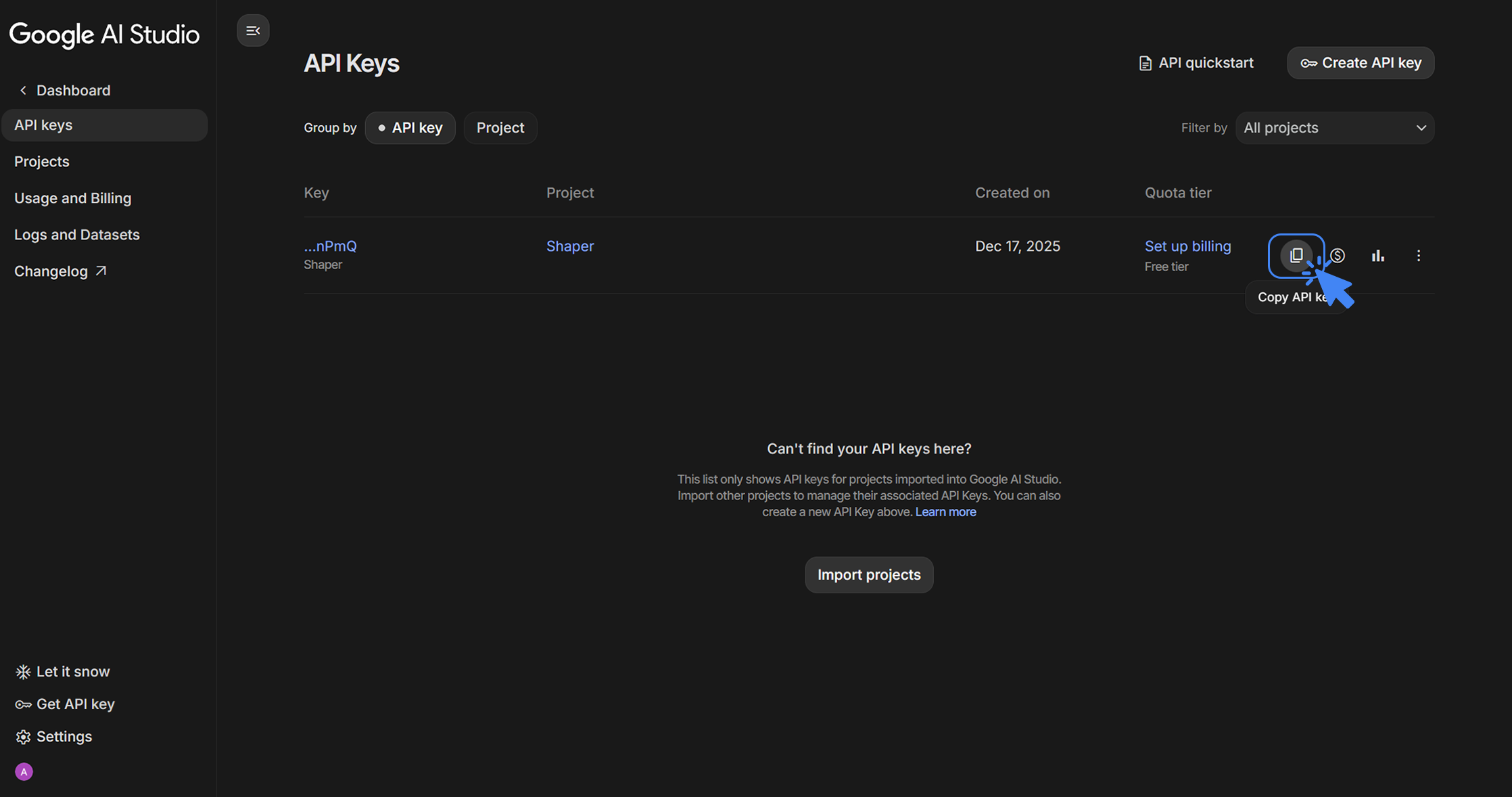 Google AI Studio Copy API Key