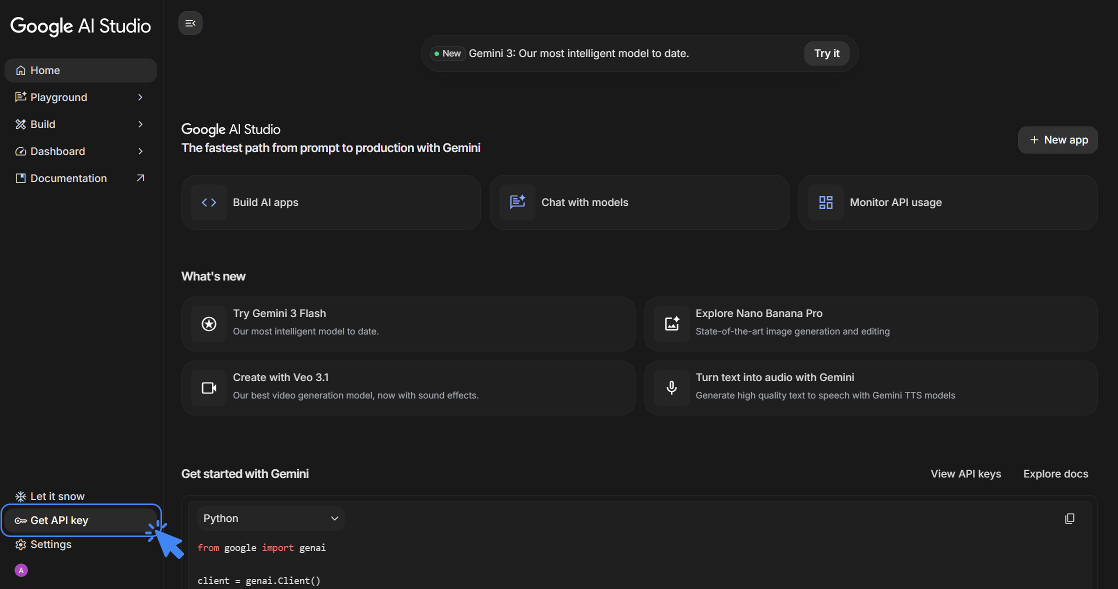 Google AI Studio Settings